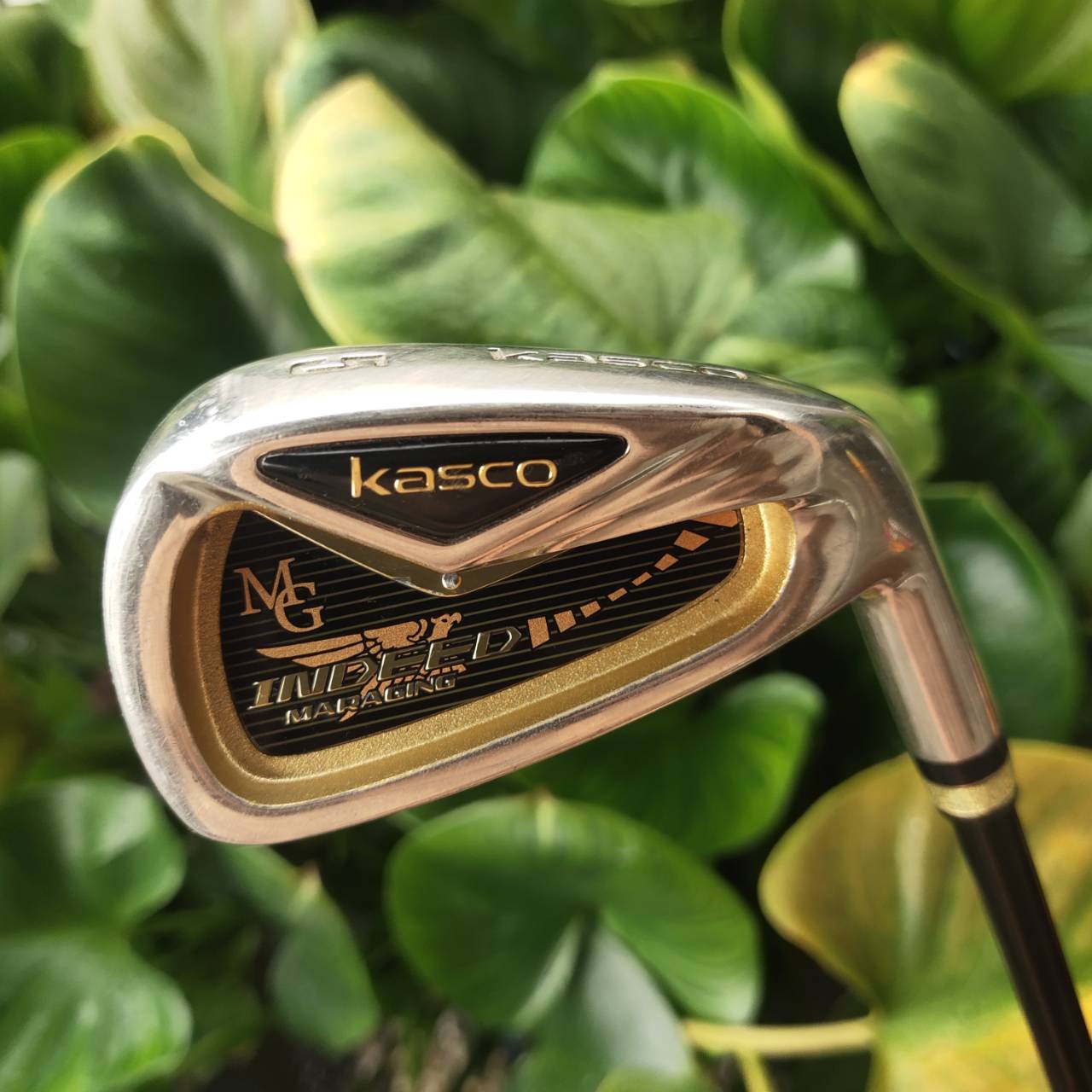 ชุดเหล็กหน้าเด้งมาก!!! KASCO INDEED MARAGING!!! ชุดพรีเมี่ยมสูงสุดของ KASCO ของใหม่ราคาแพงมากๆๆ ญี่ปุ่นแท้ หน้า MARAGING เด้งสุดขีด ตีไกลสุดขั้ว ตีง่ายก้านเบา ไม้กอล์ฟพรีเมี่ยมญี่ปุ่นมือสอง