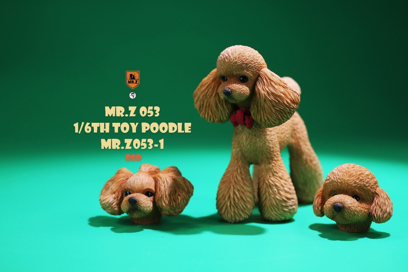 [สั่งจอง]Mr.Z MRZ053 animal model 1/6 : Toy Poodle