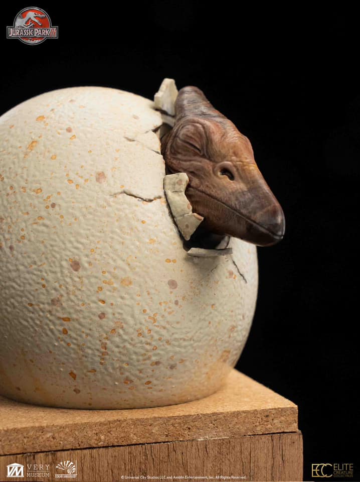 [สั่งจอง]ECC : Hatchling Pterosaur (Jurassic Park)