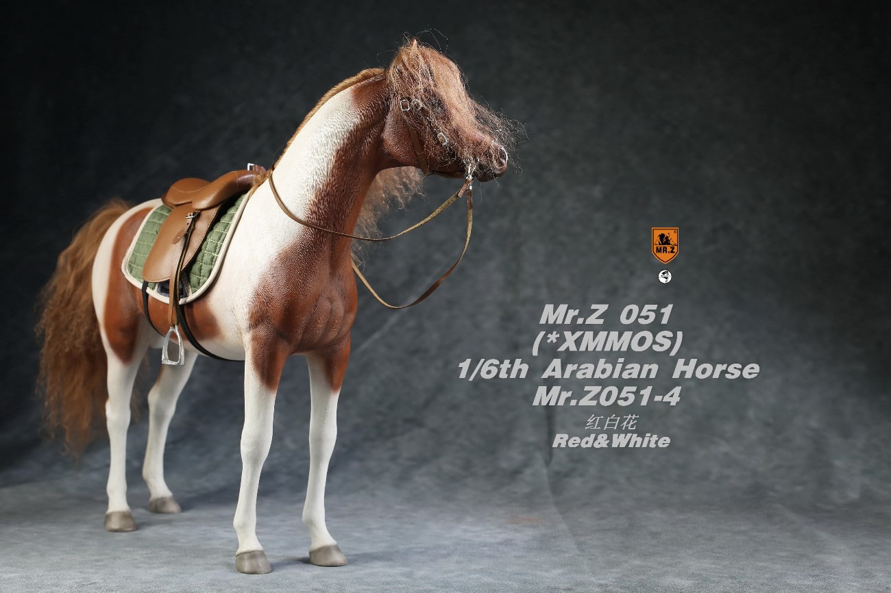 [สั่งจอง]Mr.Z MRZ051 1/6 animal model : Arabian Horse