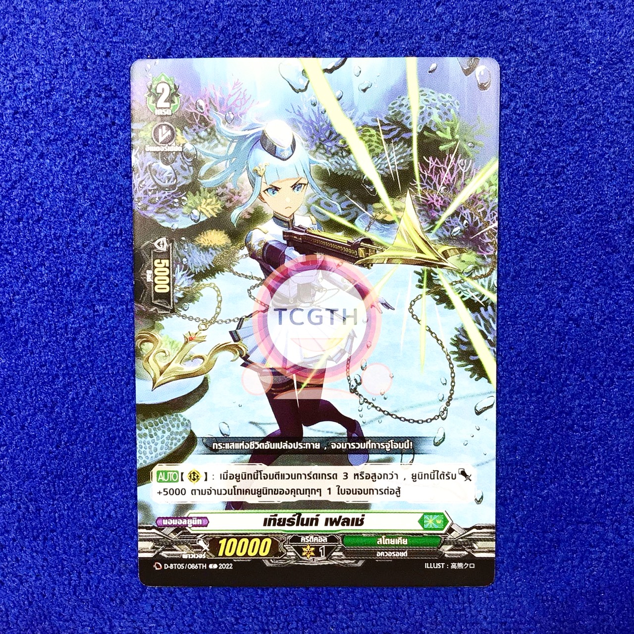 เทียร์ไนท์ เฟลเช่