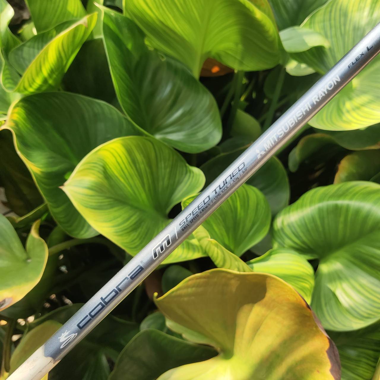 ไม้กอล์ฟผู้หญิง 7W - KING COBRA M/SPEED OFFSET หน้าเด้งมาก กระดองเด้งด้วย