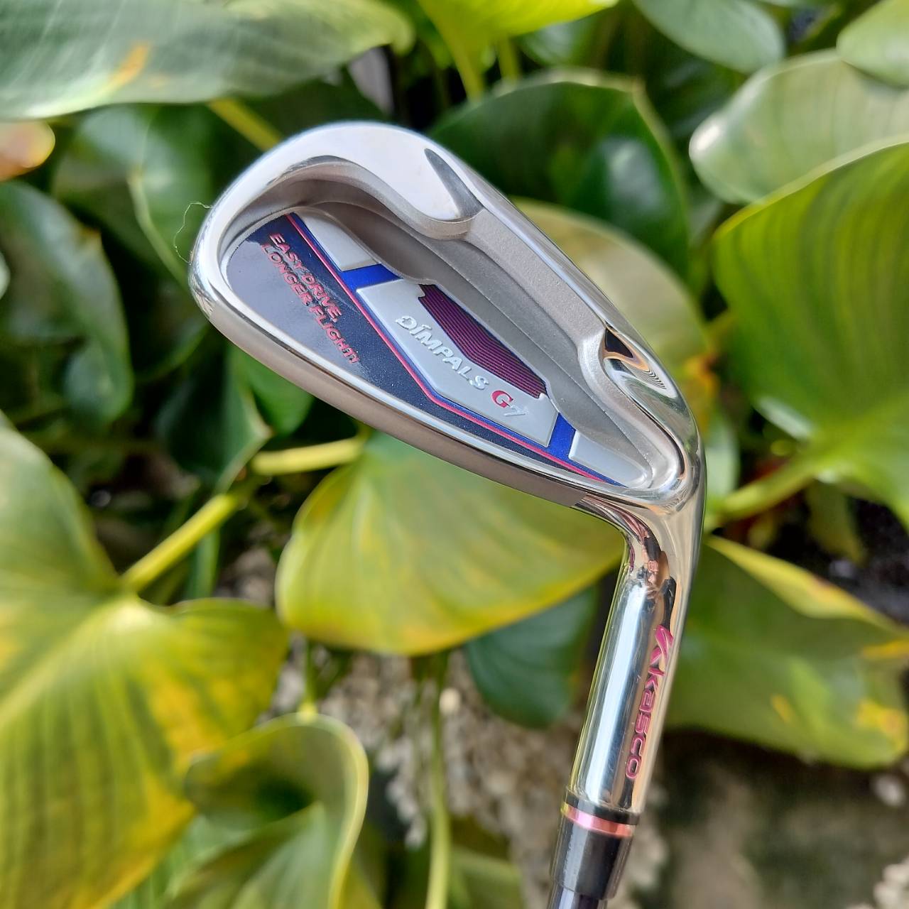 SET KASCO DIMPALS G7 LADY สภาพสวยนางฟ้า ชุดกอล์ฟพรีเมี่ยมญี่ปุ่น ก้านเบา ถุงกอล์ฟสวยมาก ไม้กอล์ฟพรีเมี่ยมมือสอง By NakaraLuxurious