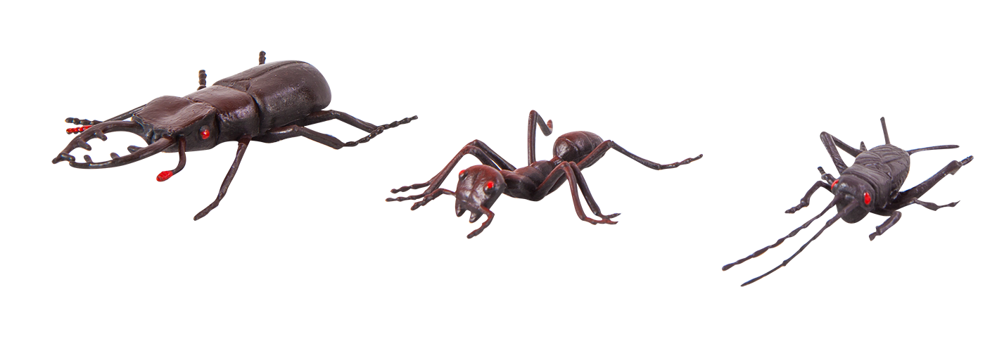 แมลงจำลอง (ชุดเล็ก), ของเล่นเสริมพัฒนาการ, ของเล่นเด็กอนุบาล, สื่อการสอน