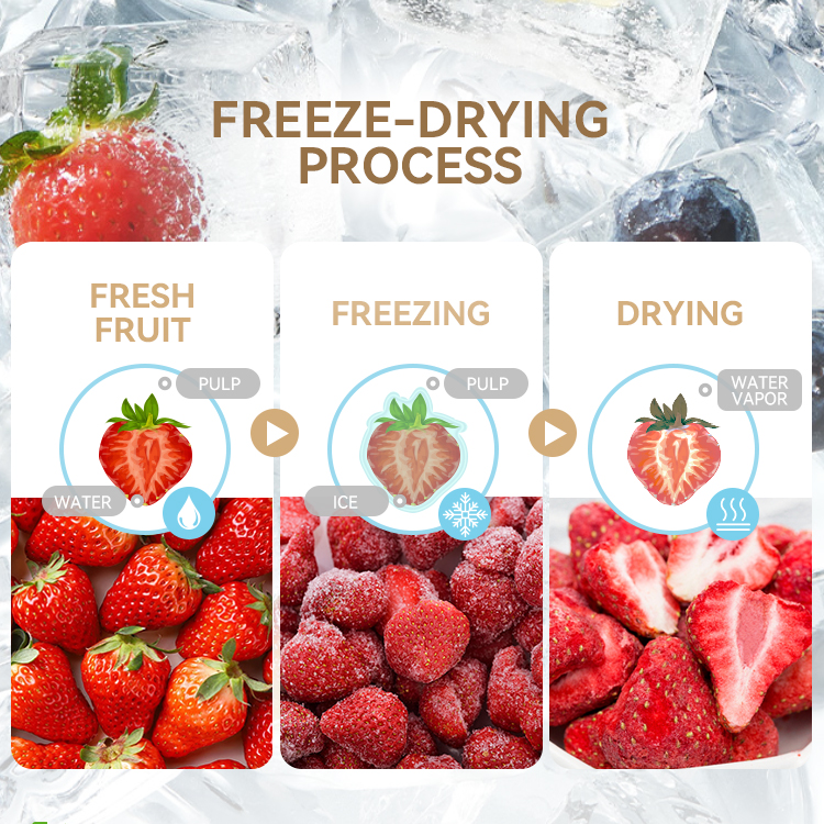 เครื่องฟรีซดราย Freeze Dry รุ่น FD-01 รับประกัน 1 ปีพร้อมจัดส่งติดตั้งและสอนใช้งานฟรีทั่วประเทศ