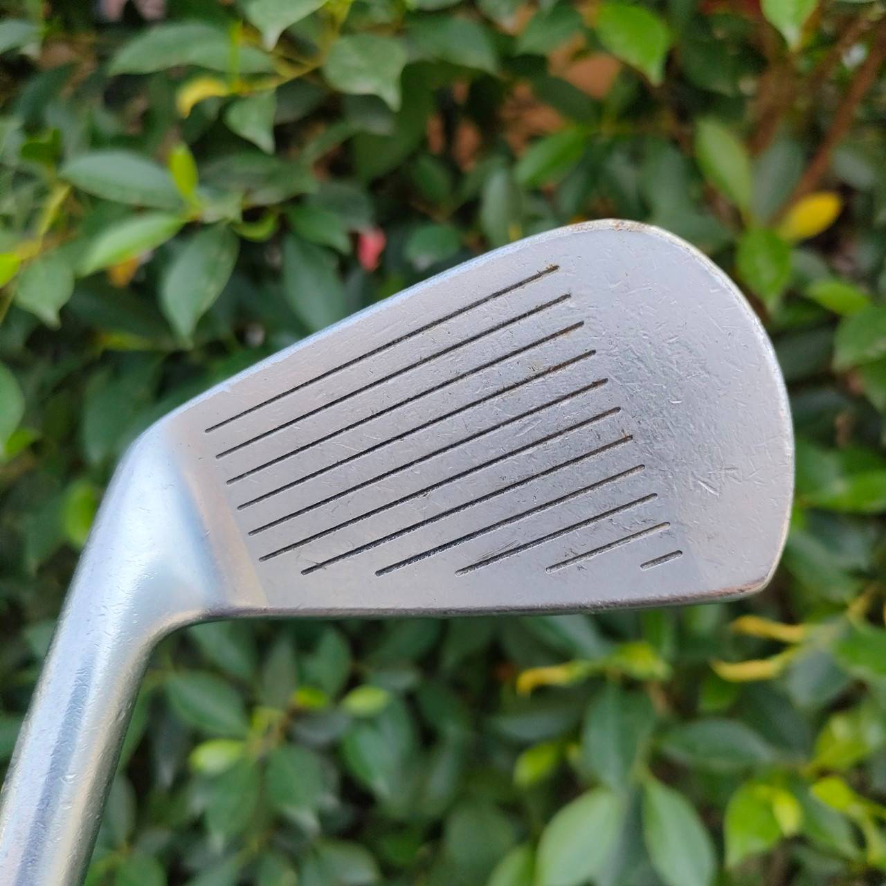 เหล็ก 5 DAIWA TEAM DAIWA FORGED CAVITY BLADE DG-501 ก้าน PROCARBO MK-II เหล็กตีง่ายมาก ก้านกราไฟต์คุณภาพอันดับ 1