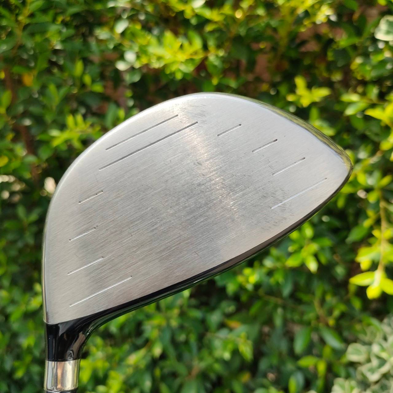 DRIVER KING COBRA SPEED LD องศา 12 ก้าน ALDILA NVS FLEX R ก้านดีมาก หัวใหญ่มาก รุ่นนี้กระดองใหญ่มาก ตีไกลแบบจัดๆๆๆเลยครับ ฟีลลิ่งเหมือนติดสปริง ตีโดนมั่นใจ