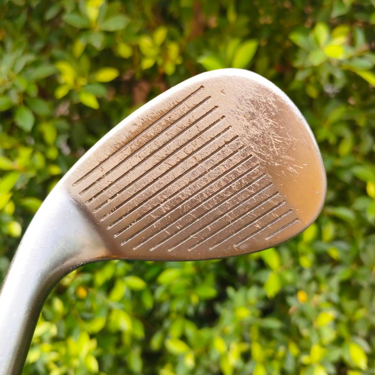 WEDGE CLEVELAND CG10 CMM องศา 56 FLEX WEDGE สามจุดเป็น HIGH BOUNCE ใช้ระเบิดทรายดี!! ปะทะขึ้นแน่นอน!! ไม้กอล์ฟมือสอง ของแท้ BY NakaraLuxurious