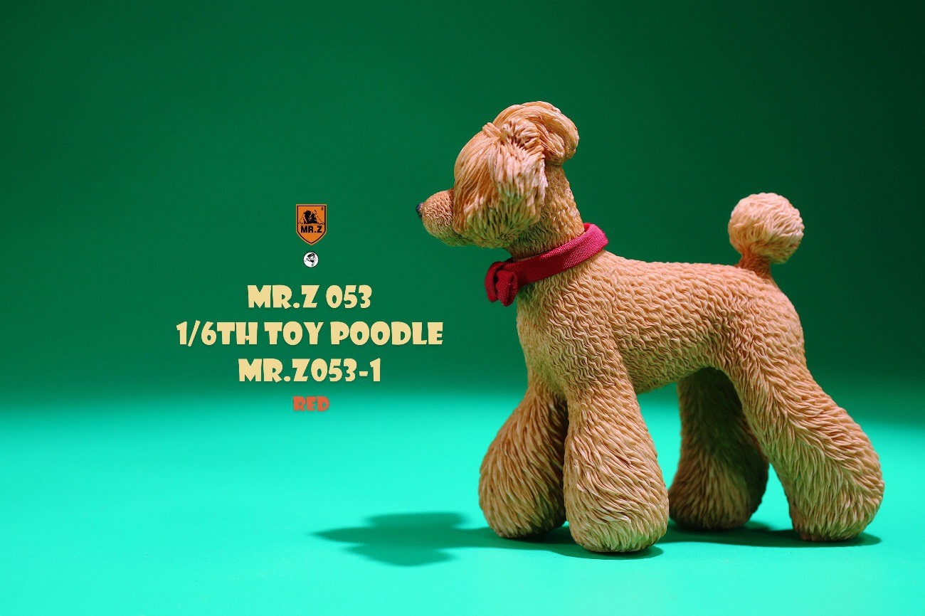 [สั่งจอง]Mr.Z MRZ053 animal model 1/6 : Toy Poodle