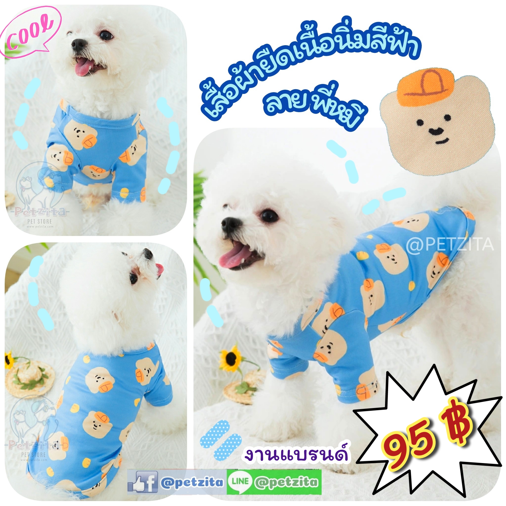 🇹🇭พร้อมส่ง🇹🇭 🔵🐻 เสื้อผ้ายืดเนื้อนิ่มสีฟ้าลายพี่หมี 🐻 ♥️ งานแบรนด์ for เสื้อสุนัข เสื้อแมว สัตว์เลี้ยง สำเนา