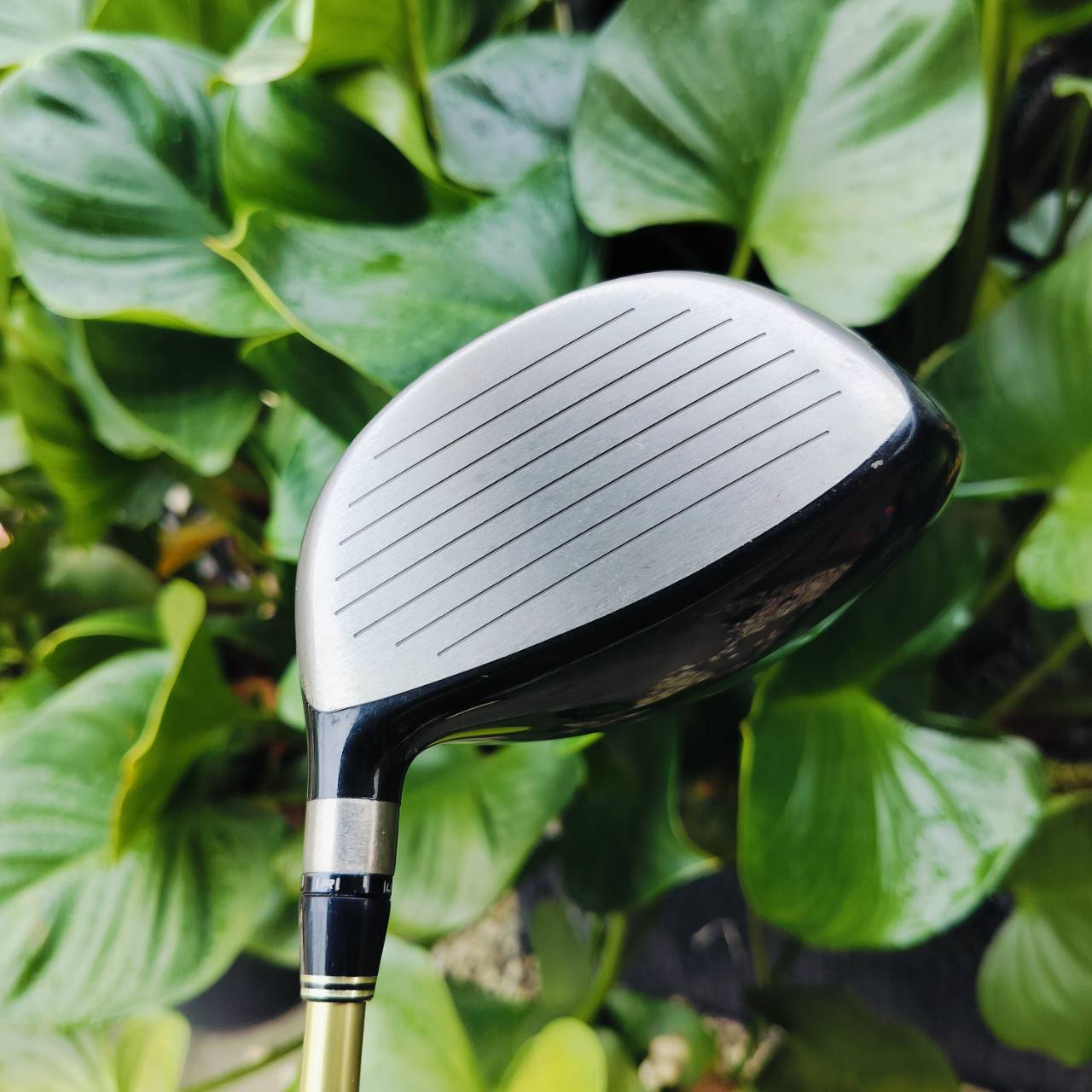 Driver TOURSTAGE X-DRIVE 707 องศา 9.5 ก้าน TOUR AD FLEX S หัวใหญ่ ตีไกลจัด ก้านดีมากๆค่ะ ไม้กอล์ฟพรีเมี่ยมมือสอง ของแท้ By NakaraLuxurious