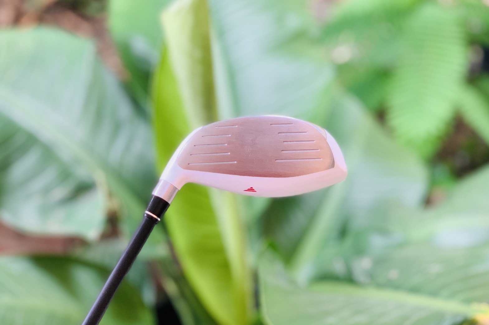 Fairway WOODS PGM RIO2016 II Fairway 5 องศา 19