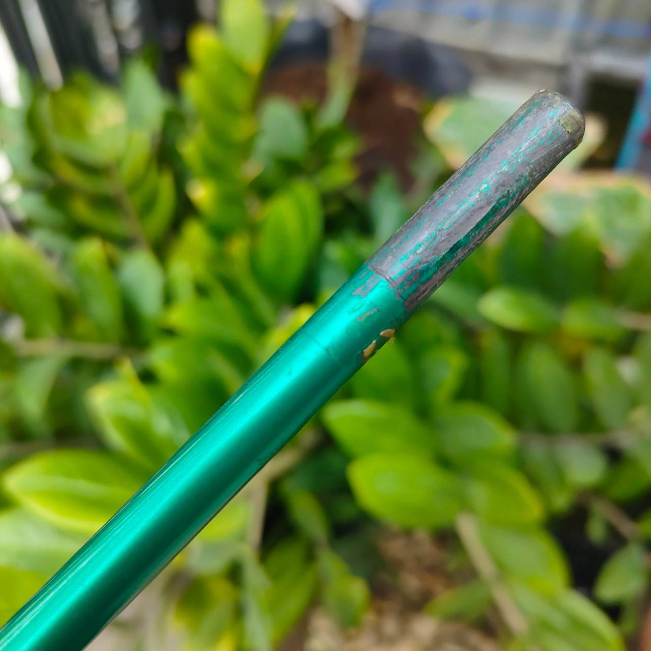ก้าน TOUR AD QUAT TRO TECH 65X ก้านสำหรับใส่ FAIRWAY ความยาวเฉพาะก้าน 43.5 นิ้ว ใส่กริพแลมกิ้นมาให้ด้วยแล้ว ไม้กอล์ฟพรีเมี่ยมของแท้ By NakaraLuxurious
