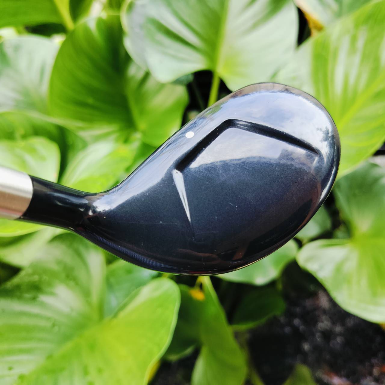 *** ไม้กอล์ฟสำหรับผู้หญิงหรือ ซีเนียร์ที่สวิงเบาๆ ตีได้สบายค่ะ*** . UT5 NIKE IGNITE ออกแบบเรียบหรูและตีดีมาก วัสดุเหมาะกับ UT มากที่สุด ไม้กอล์ฟพรีเมี่ยมมือสอง ของแท้ By NakaraLuxurious