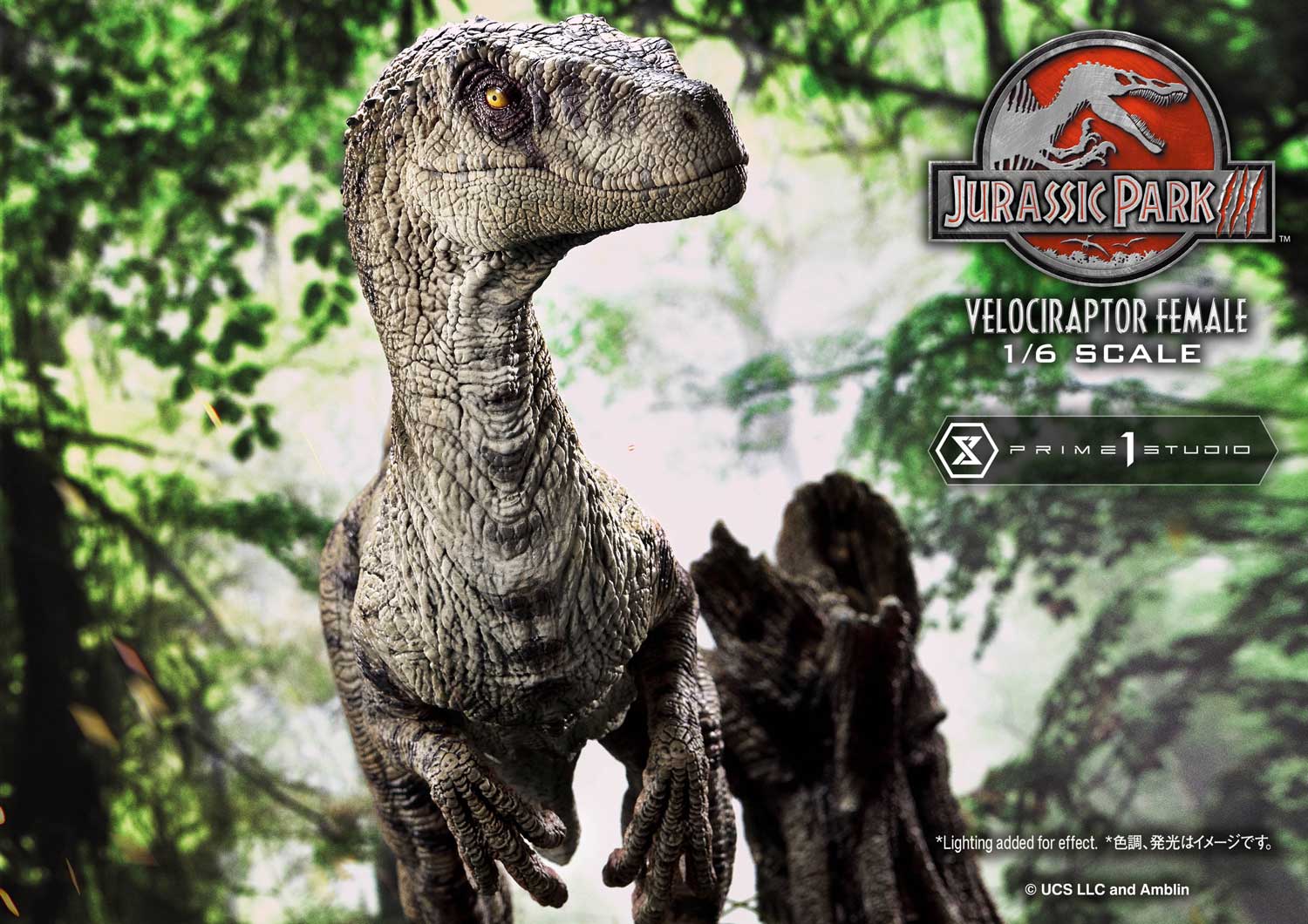 [สั่งจอง] Prime 1 Studio : 1LMCJP-11: Velociraptor Female (Jurassic Park 3)