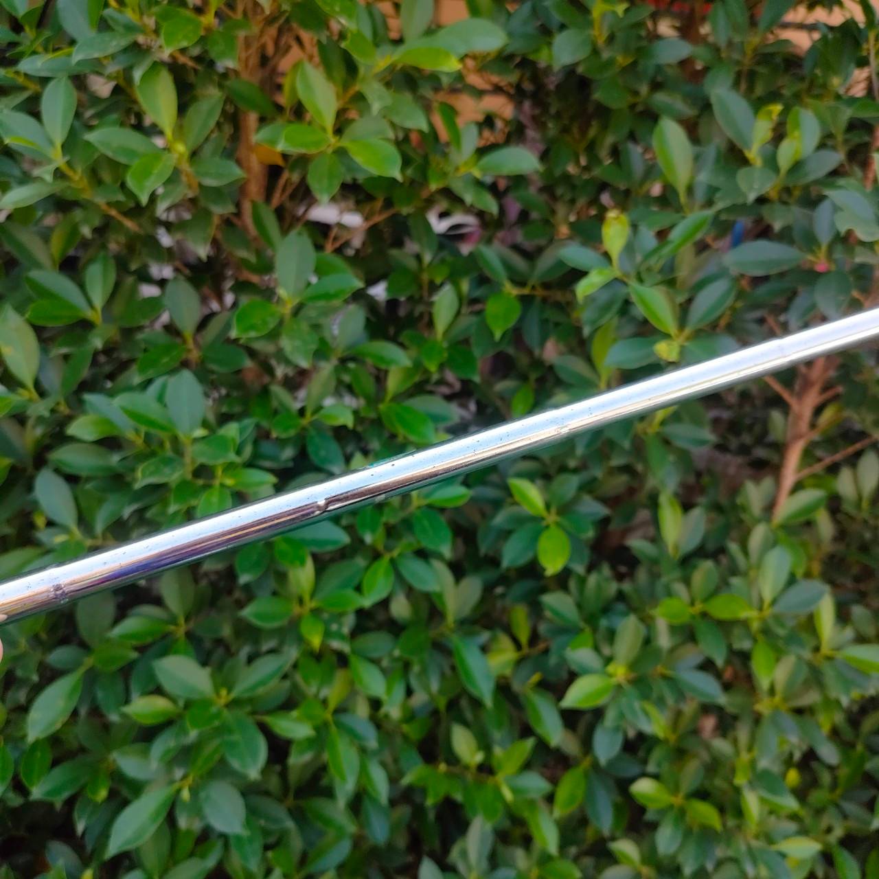 PUTTER PING MYDAY วัสดุทองเหลืองแท้ๆสวยมาก MYDAY หายากมาก ส่วนใหญ่คนมีไม่ค่อยปล่อย นักสะสมตามหาอย่างต่อเนื่อง