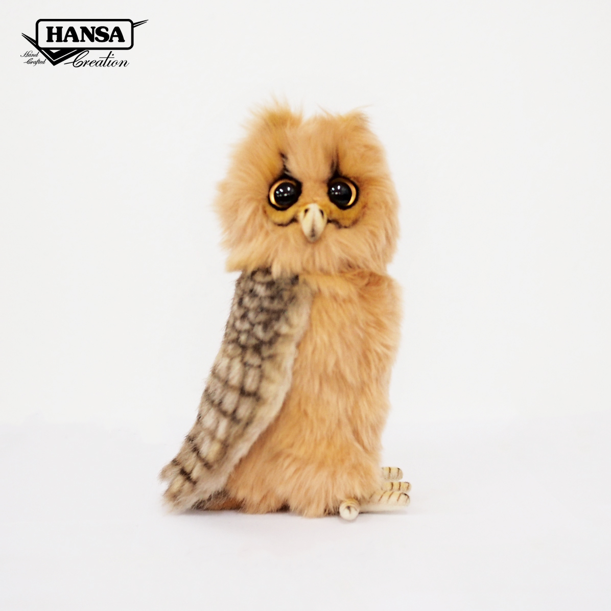 7931 Philippine Eagle Owl 22cm.H