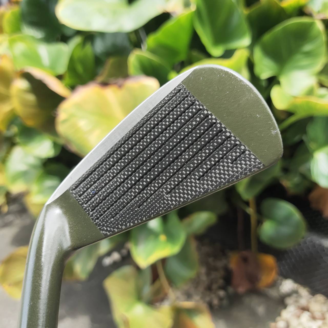 เหล็ก 2 DAIWA CARBOREX ตีง่ายมากๆ หน้าไม้เป็นคาร์บอน เคฟล่า ตีทั้งเด้ง ทั้งสปินสูงจัด!!!