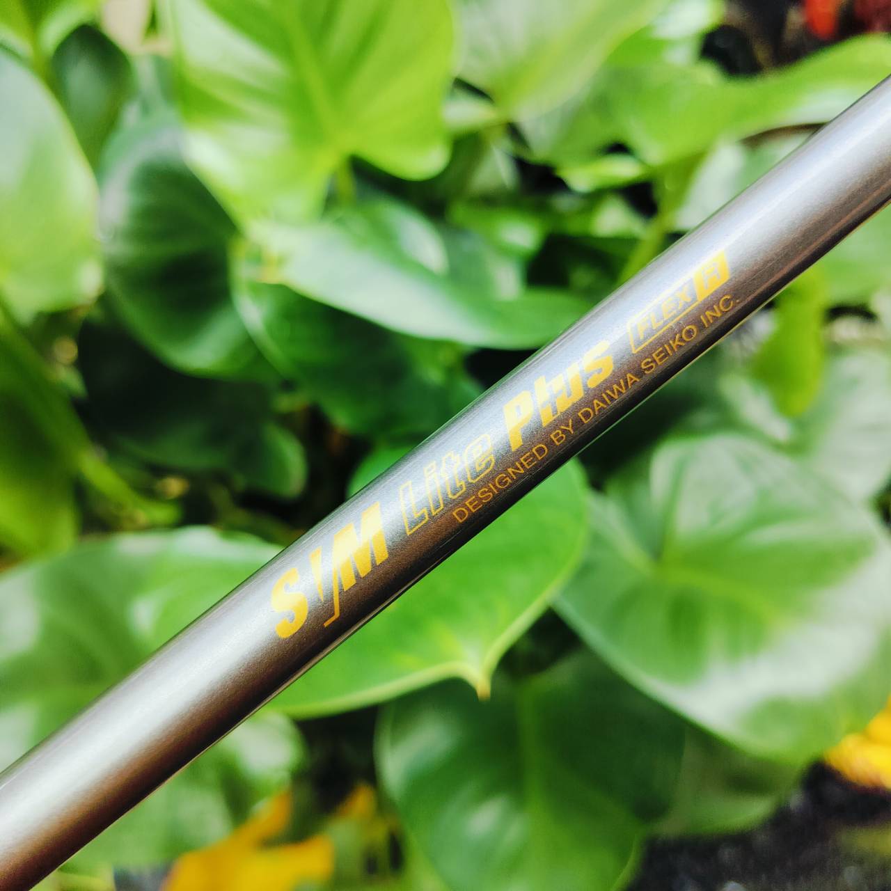 ชุดเหล็ก DAIWA T/H GOLD ก้าน SVM LITE PLUS FLEX R ด้านหลัง Cavity คู่ ชดเชยสูงมาก ไม้กอล์ฟพรีเมี่ยมมือสอง ของแท้ By NakaraLuxurious