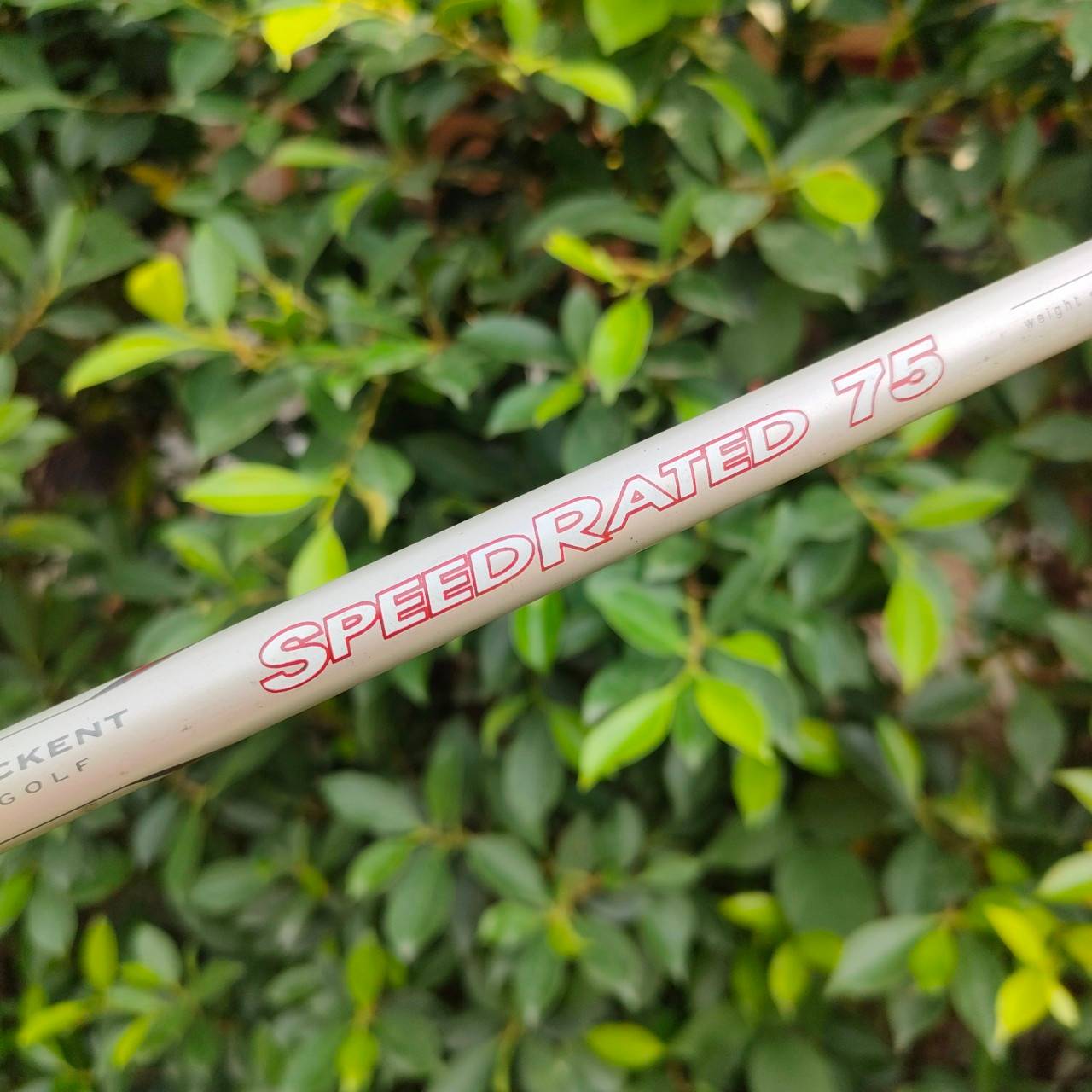 ** ไม้กอล์ฟสำหรับผู้หญิง ** ชุดเหล็ก GENEX 3DX OVERSIZE มีเหล็ก 6-9 เเละ PW SW ก้าน SPEEDRATED 75 FLEX L เหล็กตีง่าย ได้ระยะครับ