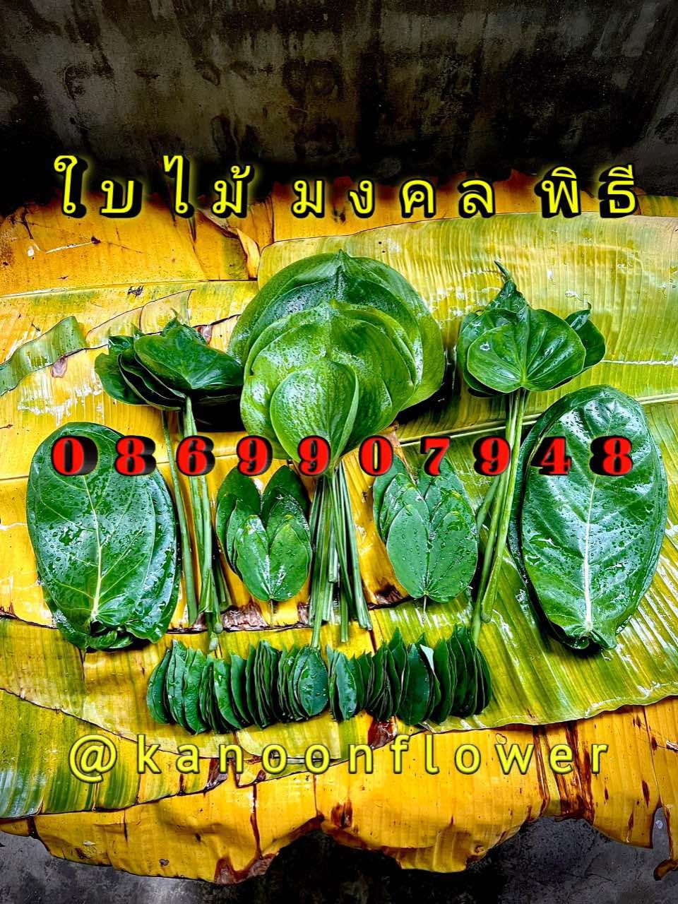 ใบไม้มงคล (พิธี)