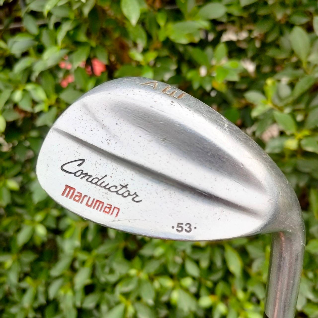 WEDGE MARUMAN CONDUCTOR องศา 53 ก้าน HEAVY DUTY FLEX S WEDGE คมๆ สับๆ จากญี่ปุ่น