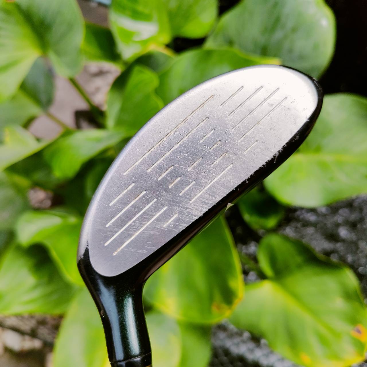 UT7 XXIO องศา 23 เป็นรุ่น TOUR SPEACIAL หน้าเด้ง MARAGING ตีไกล และตีดีมาก เด้งสวย ตีโดนง่าย ก้าน XXIO MP100 FLEX R ไม้กอล์ฟพรีเมี่ยมมือสอง ของแท้ By NakaraLuxurious