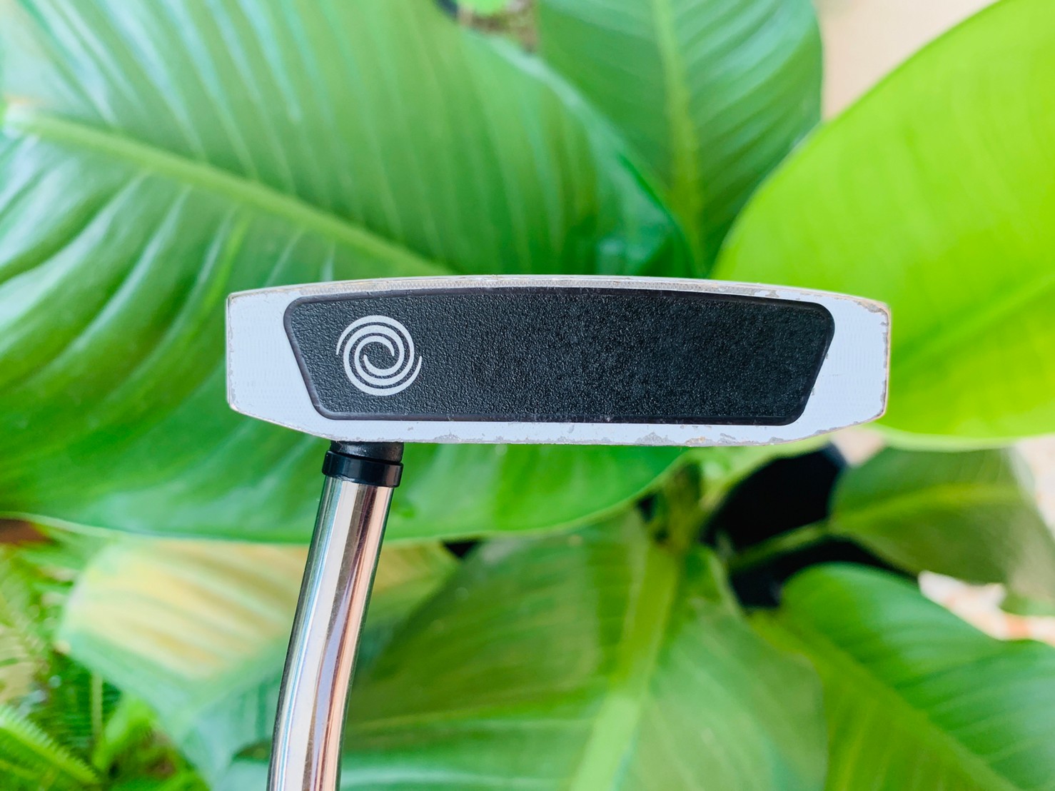 PUTTER ODYSSEY VERSA #7 WHITE