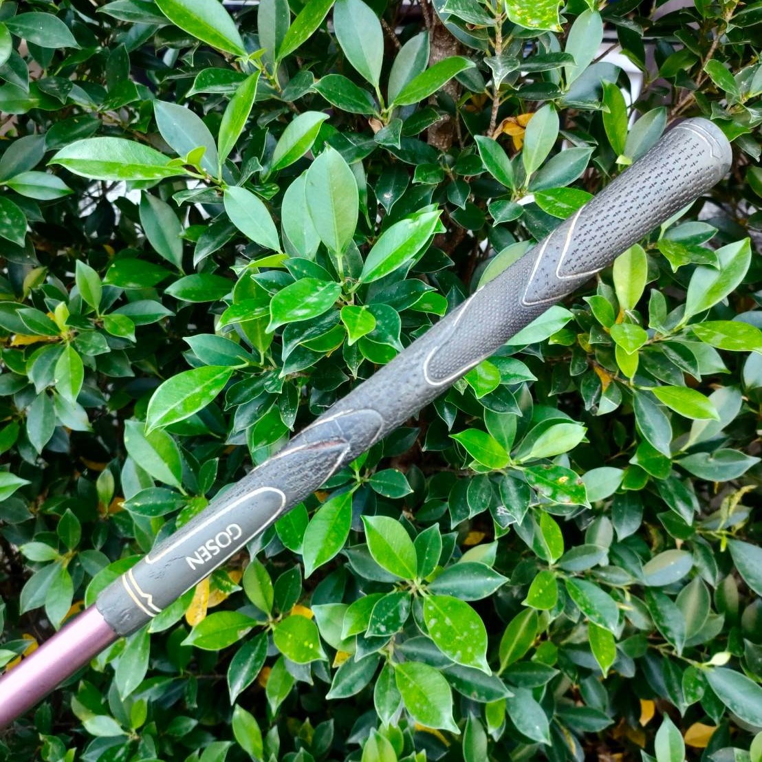 **ไม่กอล์ฟสำหรับผู้หญิง** DRIVER 1 GOSEN RELEASE 360 TOUR SERIES-12 LADY ก้าน GOSEN FLEX L วัสดุ BETA FORGED TITANIUM ตีดีมากๆครับ