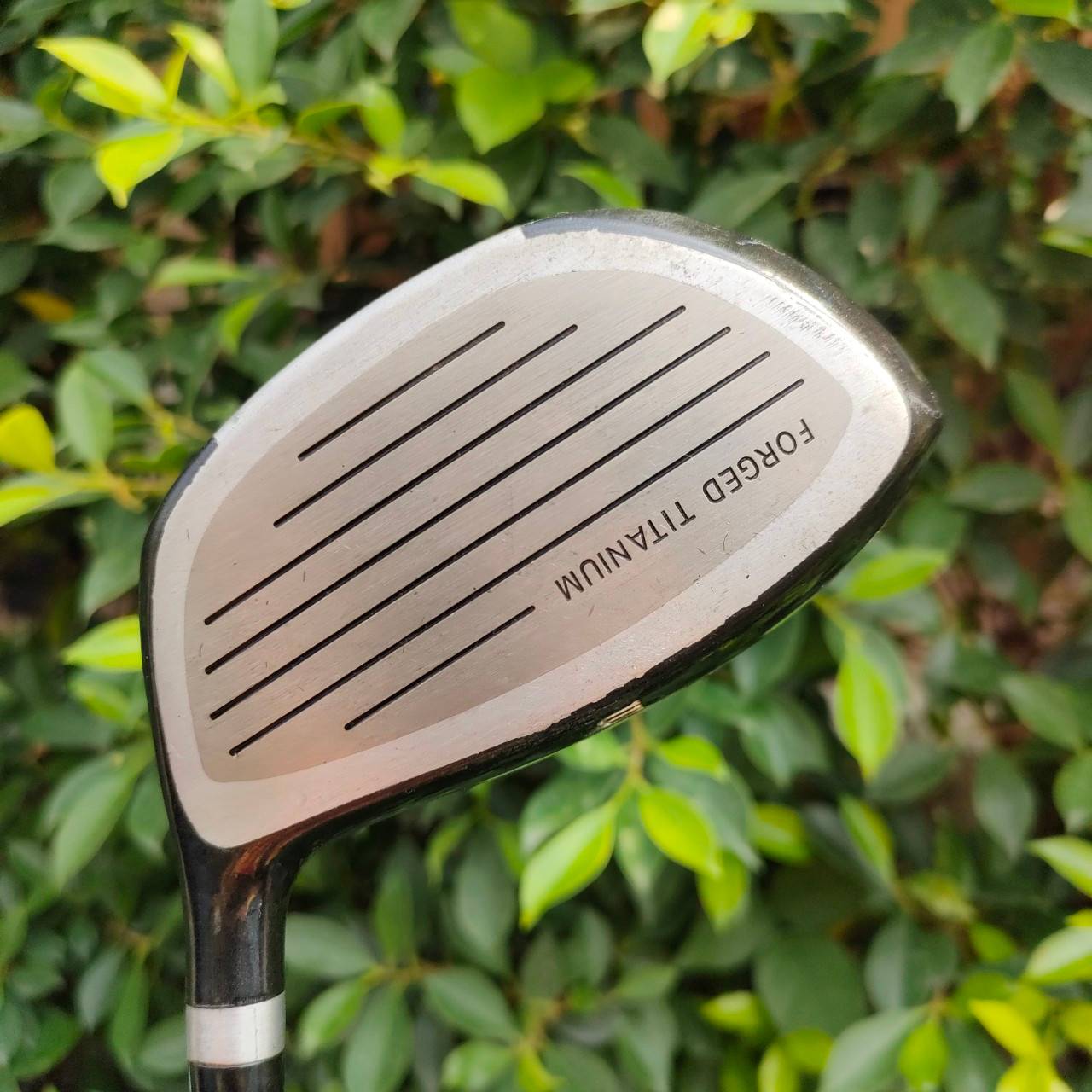 FULLSET WILSON KILLER WHALE ทั้งชุดประกอบด้วย หัวไม้ 1 3 5 ก้าน KILLER WHALE FLEX R ชุดเหล็ก 3-9 เเละ PW SW PUTTER WILSON พร้อมถุงกอล์ฟ WILSON เดิมๆทั้งชุด ครบเลยครับ พร้อมออกรอบได้เลยครับ ไม่ต้องซื้ออะไรเพิ่มแล้ว