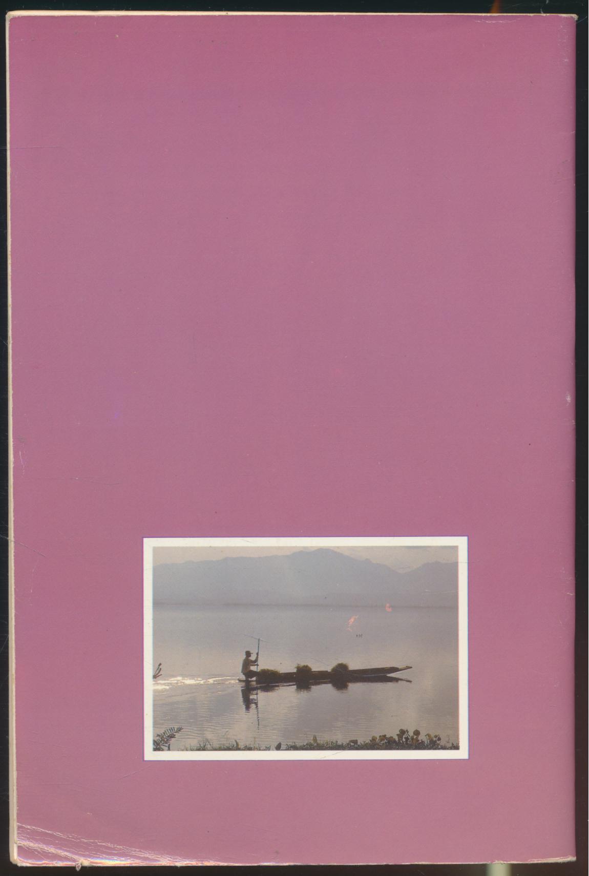 ศรีโคมคำ (พระเจ้าตนหลวง) และ พญาเจือง