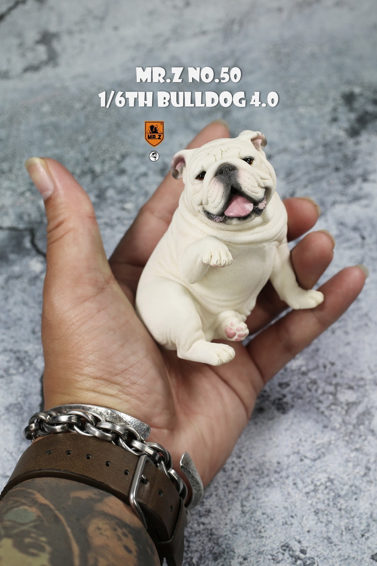 [สั่งจอง]MR.Z Mr.Z050 1/6th Bulldog V4.0 (all 5 colors)
