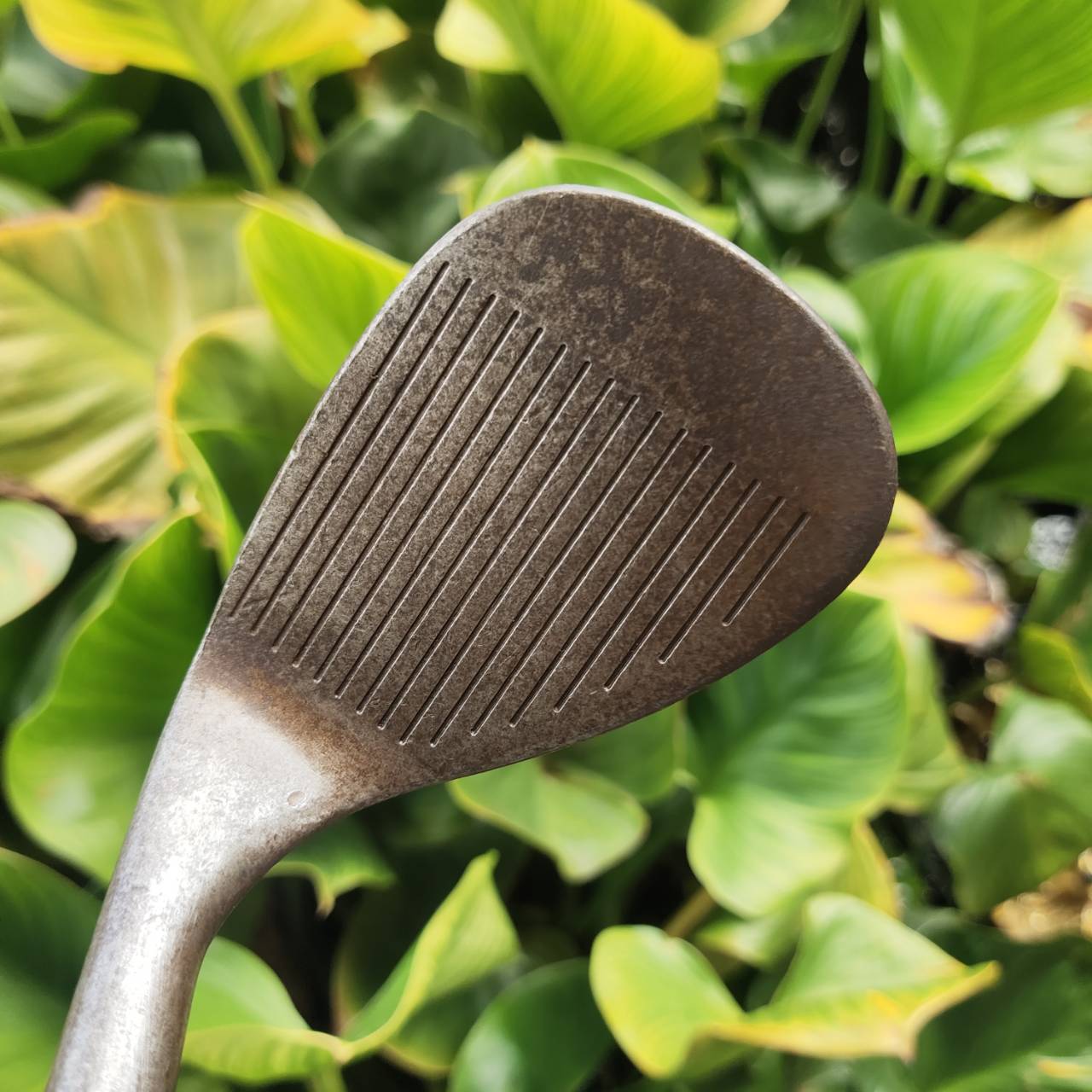 WEDGE CLEVELAND REG 588 60° รุ่นสนิม (Rust Finish) ให้ ฟีลลิ่งธรรมชาติและกลิ่นอายแบบคลาสสิก