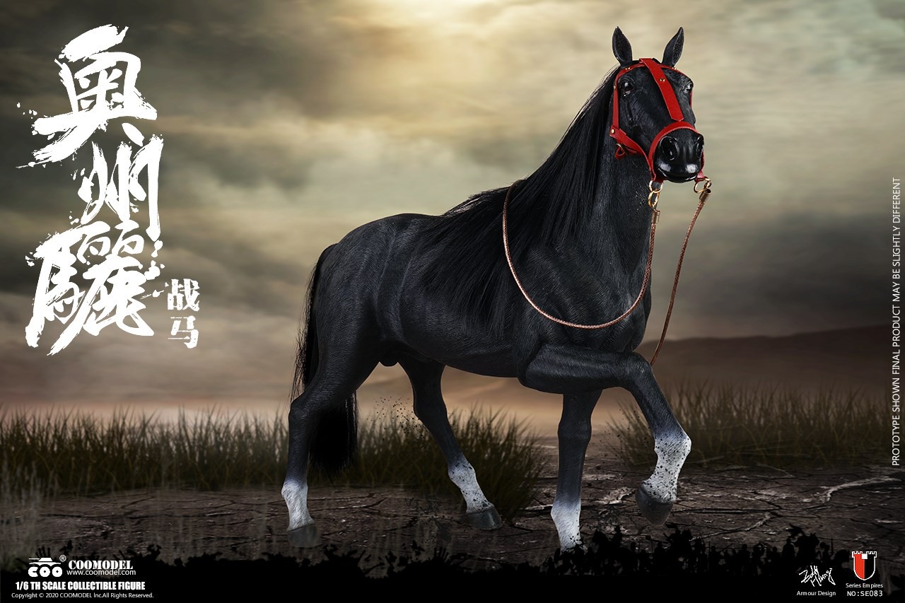 [สั่งจอง]COOMODEL SE083/SE084 SERIES OF EMPIRES - AUSHIUGUMA