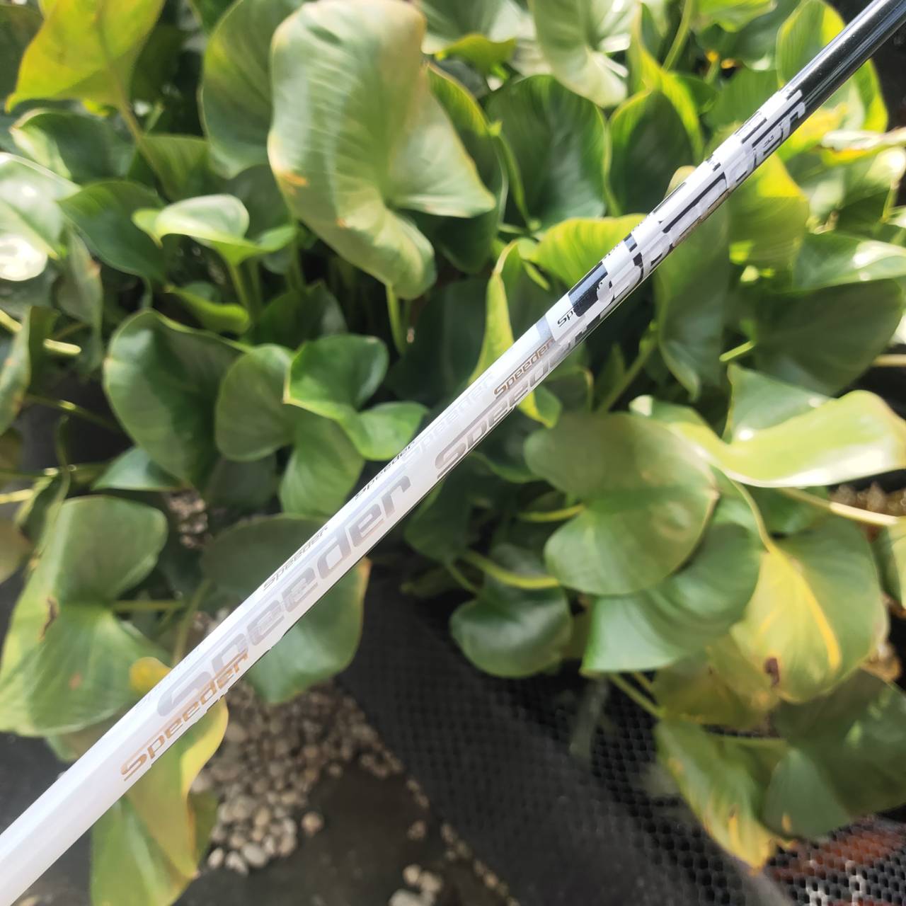 Driver TAYLORMADE SIM GLOIRE สภาพสวยมาก มี COVER แท้เดิม!!!