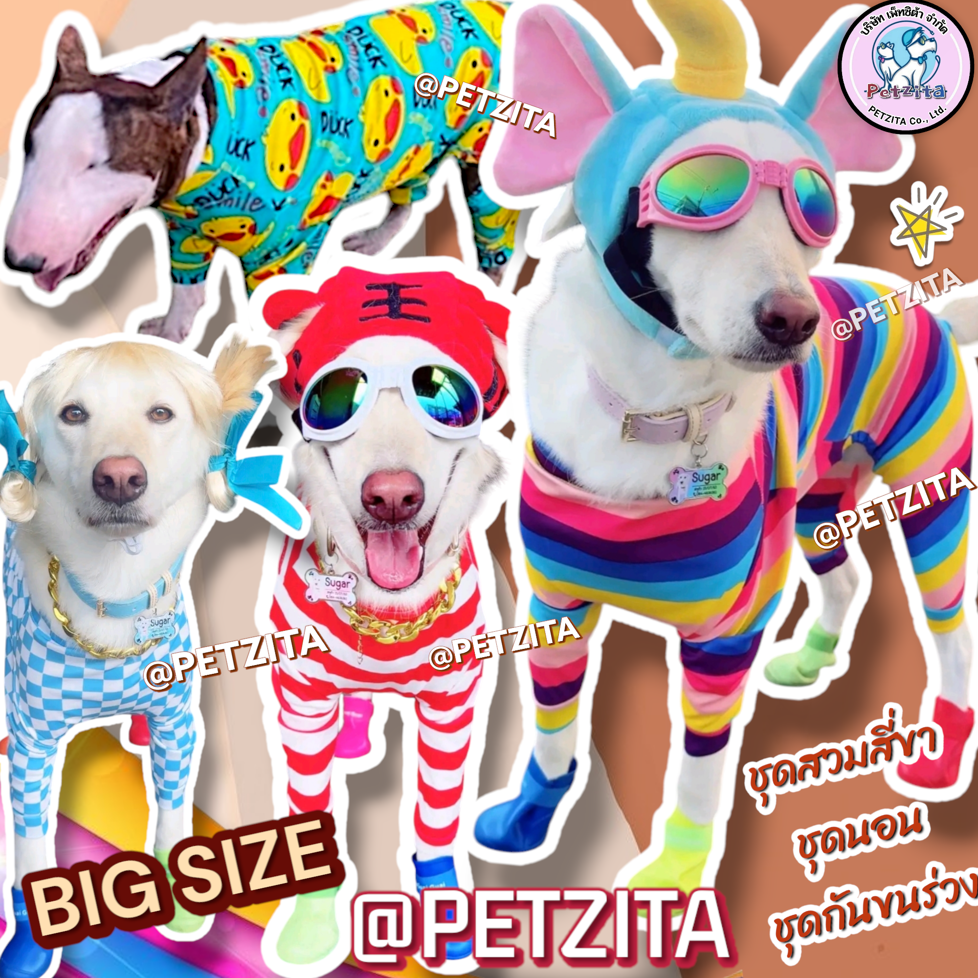 🇹🇭พร้อมส่ง🇹🇭 🐕 🩷(ลิ้งค์ที่4) BIG SIZE ชุดสี่ขา ชุดกันขนร่วง สุนัขพันธุ์ใหญ่ หมาใหญ่ เสื้อหมา โกลเด้น ลาบาดอร์ ไซบีเรียน เสื้อสุนัข หมาอ้วน