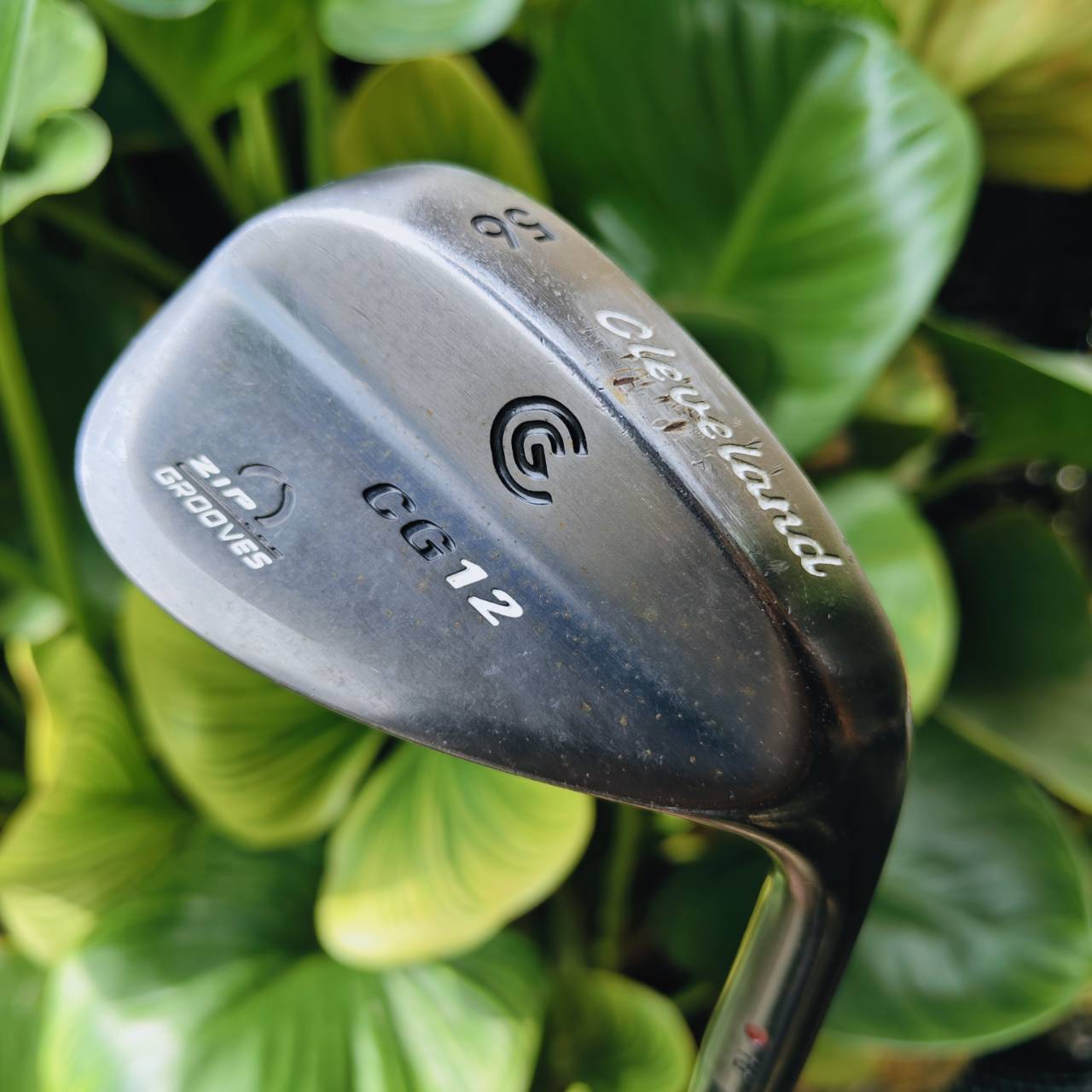 WEDGE CG12 ZIP GROOVE 56° BOUNCE 10 – ช็อตรอบกรีนแม่นยำ เหมาะระเบิดทราย!