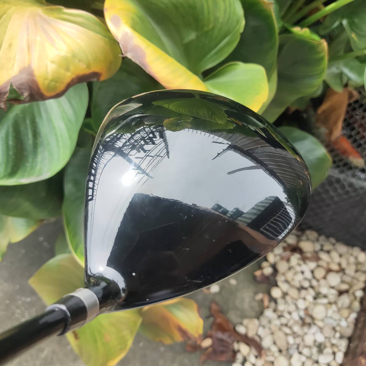 Driver CRAIGTON OF Scotland หัวเบต้าไทเทเนี่ยมแท้ ขนาด 460CC. หน้าสวีตสปอตใหญ่มาก ตีโดนง่าย+ไกล