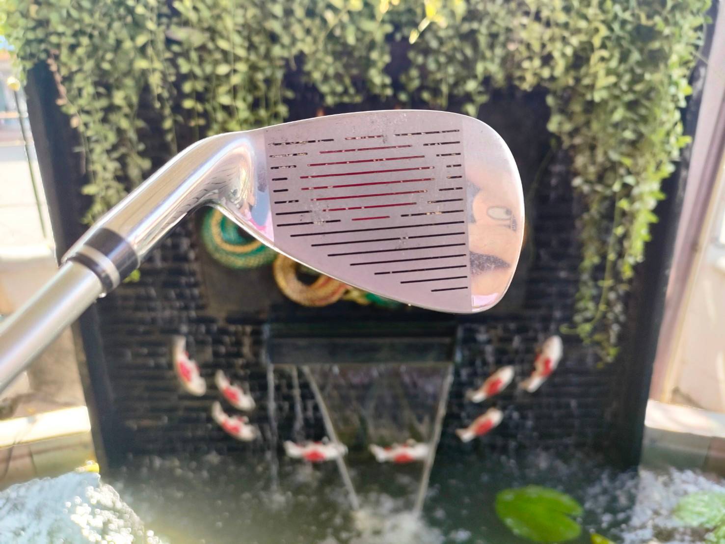 FULLSET GOSEN LADY MADE IN JAPAN