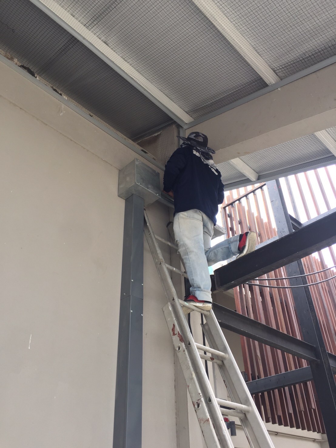 งานติดตาข่ายกันนก ตึกกายวิทยาทาน มหาวิทยาลัยมหิดล