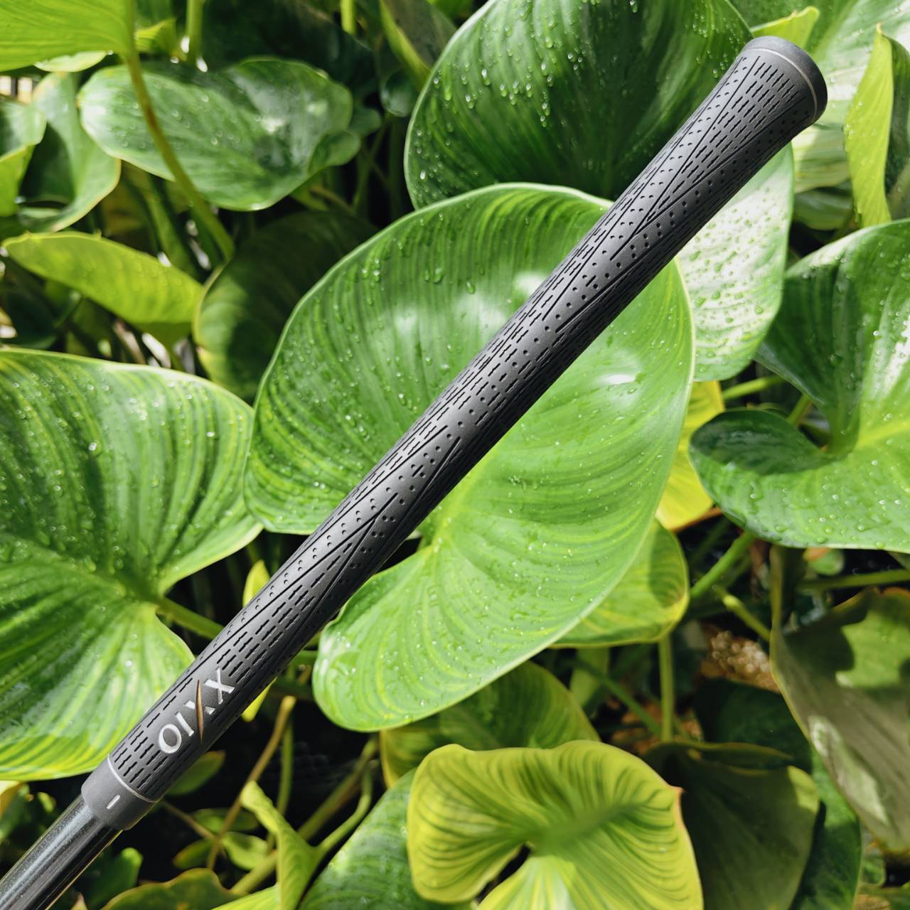 XXIO IMPACT POWER BODY – Distance Redefined ชุดเหล็กหน้าเด้ง Titanium Face