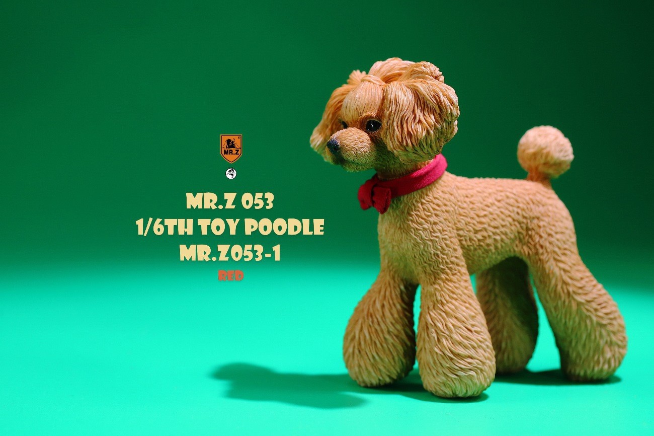 [สั่งจอง]Mr.Z MRZ053 animal model 1/6 : Toy Poodle
