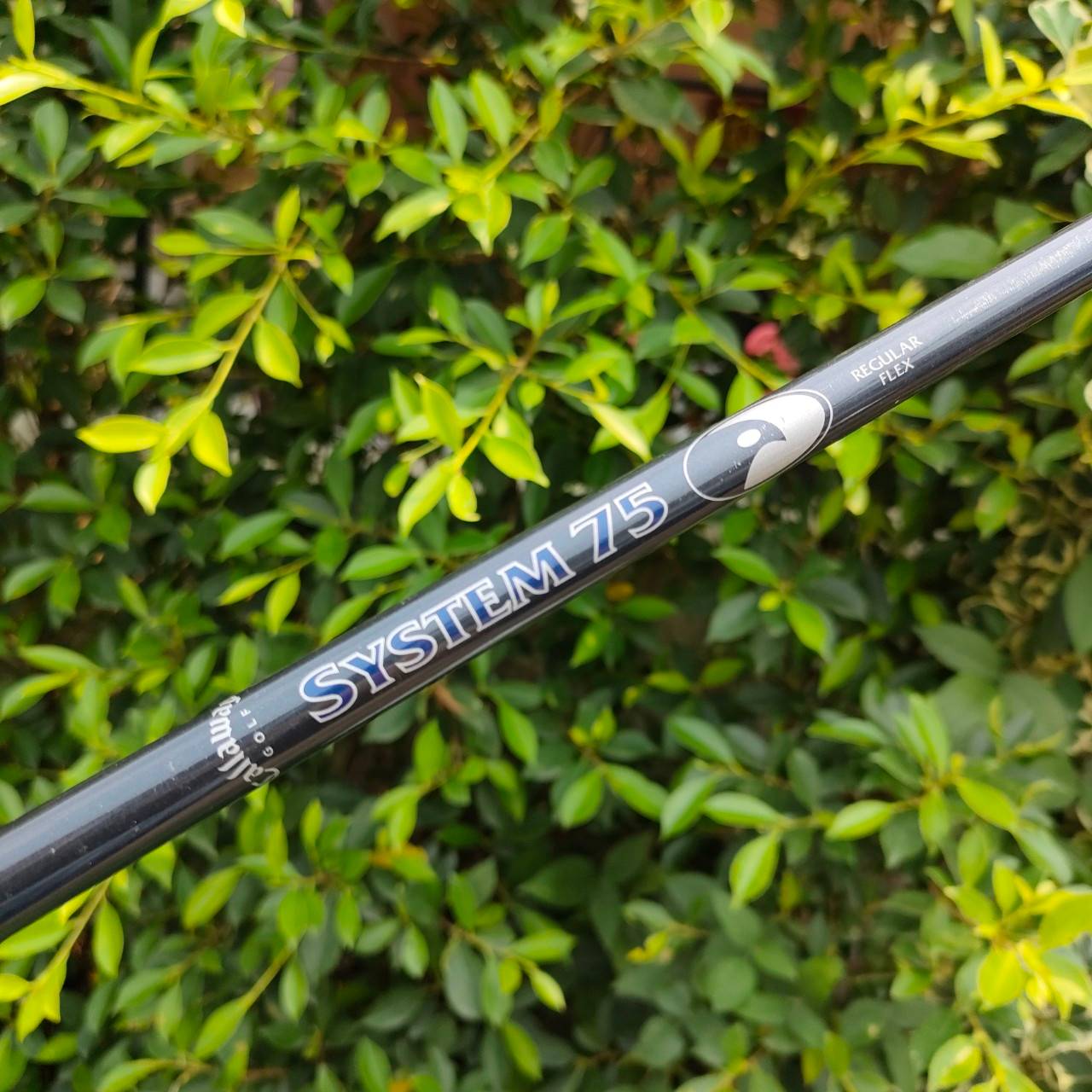 เหล็ก 4 CALLAWAY HAWK EYE VFT ก้าน SYSTEM 75 FLEX R เป็นรุ่น TOP สุด ตีไปแล้วมีเสียงกิ๊ง ระยะดีมาก ตีง่ายมากๆครับ