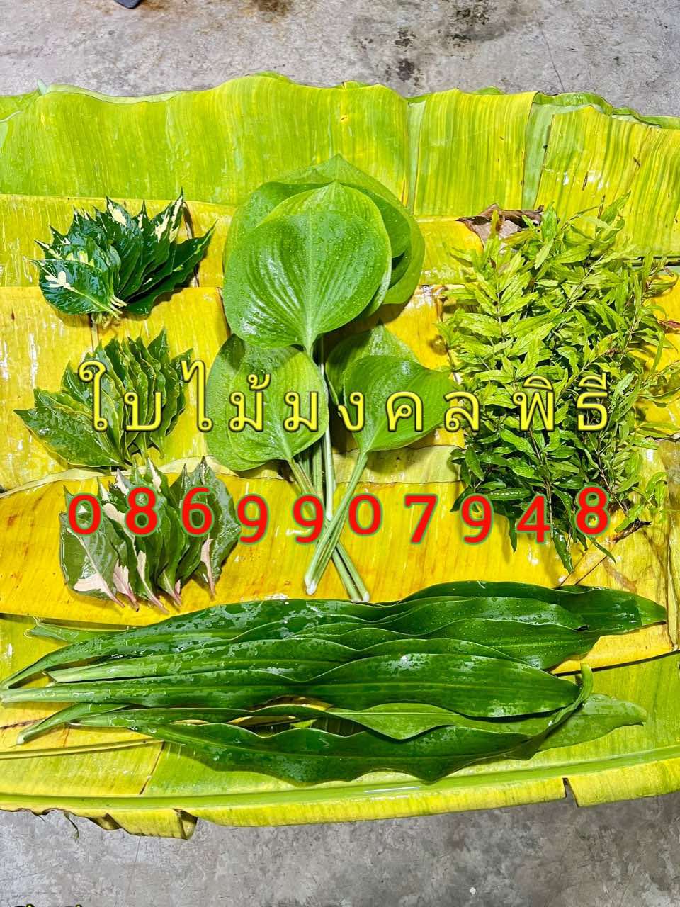 ใบไม้มงคลพิธี9อย่าง