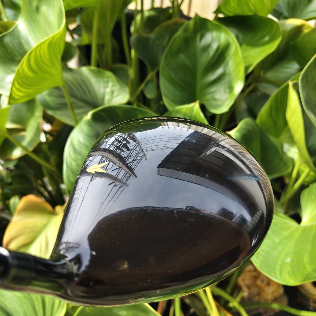 Driver KASCO POWERTORNADO DF-II องศา 10.5° | FLEX R ไดรเวอร์ตีง่ายมากกกก!