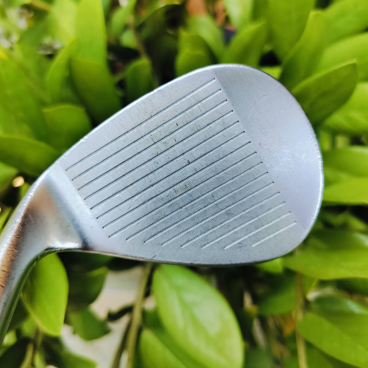 KASCO Dolphin Wedge DW-113 องศา 52 FLEX S400 ก้านเหมาะกับ WEDGE มาก รุ่นดัง!!! ด้วยเอกลักษณ์ ในการออกแบบคล้ายปลาโลมา เข้าบอลได้อย่างแม่นยำมากขึ้น ไม้กอล์ฟพรีเมี่ยมมือสอง ของแท้ By NakaraLuxurious