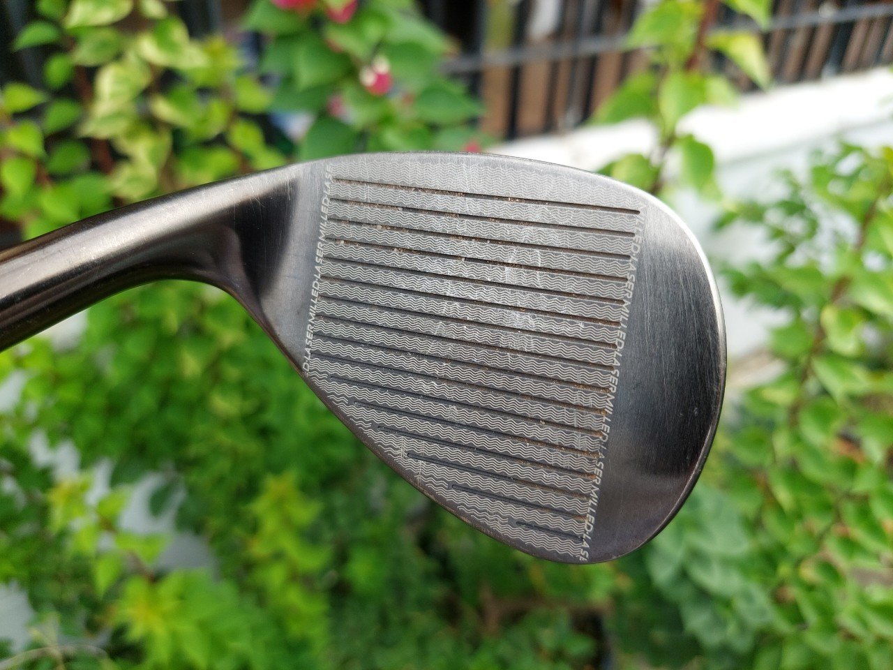 WEDGE CLEVELAND Cg17