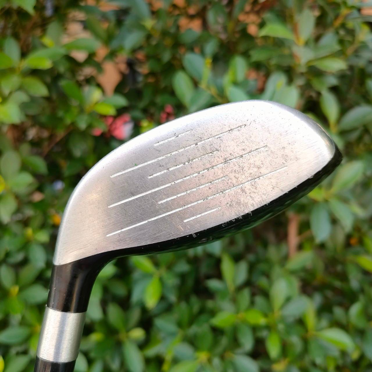 FW5 TAYLORMADE r7 XR ก้าน RE*AX FLEX R ซีรี่ XR เน้นตีง่าย ก้านเบาพรีเมี่ยม ตีวงสบายๆ ลูกลอยง่าย