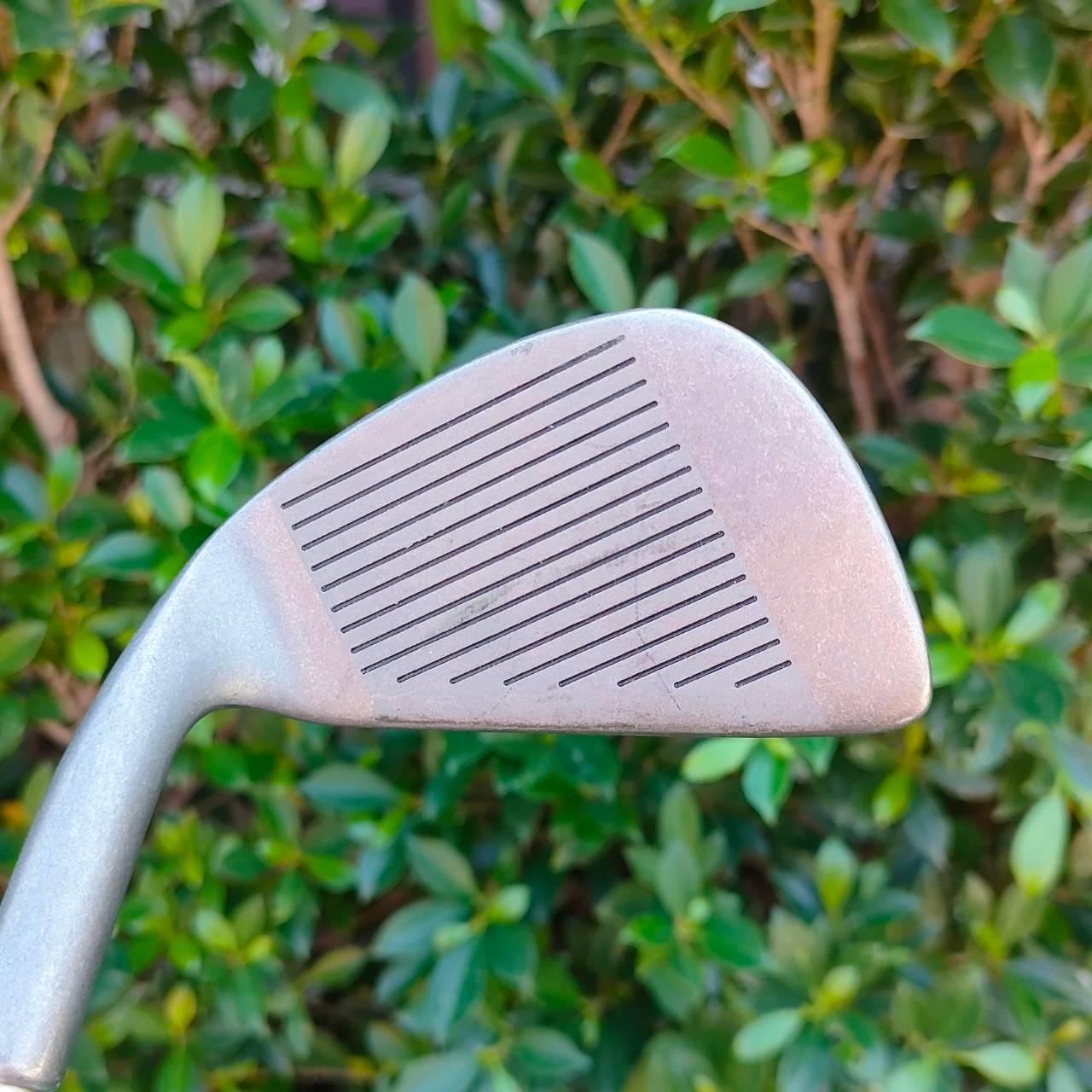 **ไม้กอล์ฟสำหรับผู้หญิง** ชุดเหล็ก MIZUNO ALTRON FWD มีเหล็ก 3-9 เเละ PW ก้าน NAFLE 1100 FLEX L