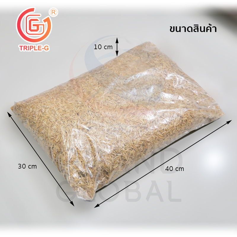 Triple-G แกลบดิบ แกลบดำ ปลูกต้นไม้ ไม้ดอก ไม้ประดับ